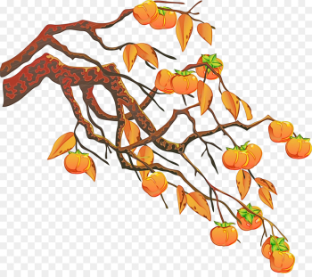 leaf tree branch plant twig leaf tree branch plant twig