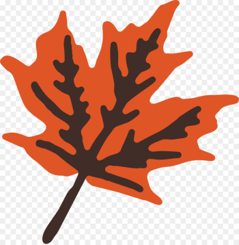 Leaf, Tree, Flowering Plant PNG Leaf, Tree, Flowering Plant PNG