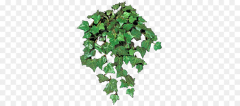 Leaf Tree - Leaf Leaf Tree - Leaf