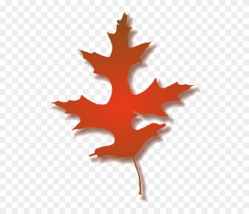 Leaf, Tree, Nature, Autumn, Color - Fall Oak Leaf Clipart