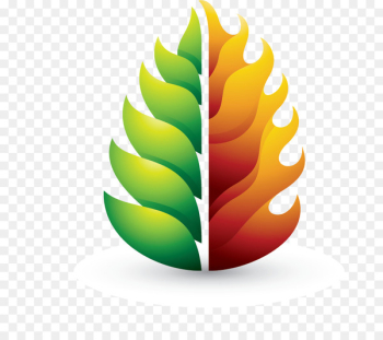 Leaf Tree Photograph Light Clip art - Leaf Tree Photograph Light Clip art -