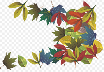 leaf tree plant woody plant sweet gum leaf tree plant woody plant sweet gum
