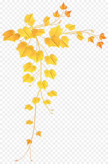 leaf tree yellow plant woody plant leaf tree yellow plant woody plant