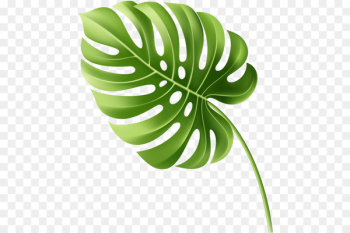 Leaf Tropics - Leaf Leaf Tropics - Leaf