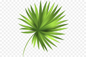 Leaf Tropics - Leaf Leaf Tropics - Leaf
