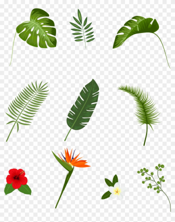 Leaf Tropics Plant Euclidean Vector - Leaf Tropics Plant Euclidean Vector Leaf Tropics Plant Euclidean Vector - Leaf Tropics Plant Euclidean Vector