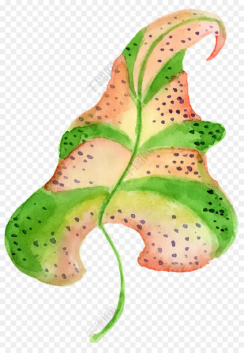 Leaf, Tropics, Plants, Green PNG Leaf, Tropics, Plants, Green PNG