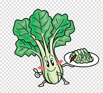 Leaf vegetable Bok choy , cabbage leaves transparent background PNG clipart