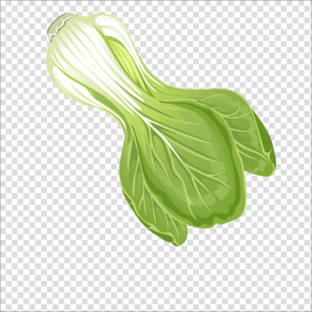 Leaf vegetable Chinese cabbage, Chinese cabbage transparent background PNG clipart Leaf vegetable Chinese cabbage, Chinese cabbage transparent background PNG clipart