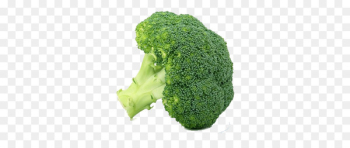 Leaf vegetable Food Broccoli Winter vegetable - vegetable Leaf vegetable Food Broccoli Winter vegetable - vegetable