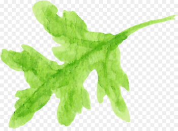 Leaf vegetable Herb Plant stem - poppy 