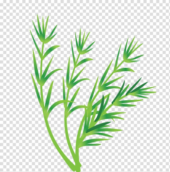 Leaf vegetable Leaf vegetable, Vegetable Leaves transparent background PNG clipart Leaf vegetable Leaf vegetable, Vegetable Leaves transparent background PNG clipart