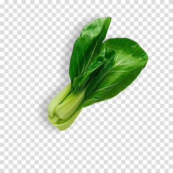 Leaf vegetable Salad Food, vegetable transparent background PNG clipart Leaf vegetable Salad Food, vegetable transparent background PNG clipart