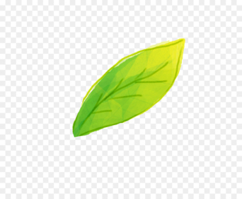 Leaf Wallpaper - leaf Leaf Wallpaper - leaf