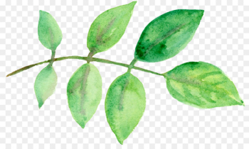 Leaf Watercolor: Flowers Watercolor painting Green - Green leaves watercolor 