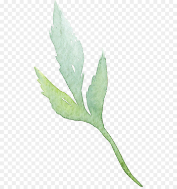 Leaf Watercolor: Flowers Watercolour Flowers Watercolor painting - Watercolor Retro Green Leaves 