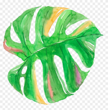 Leaf Watercolor Painting Canvas - Leaves Watercolor Tropical Leaves Png