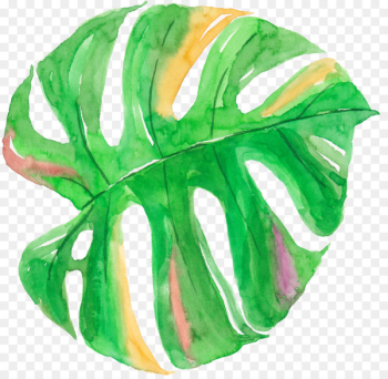 Leaf Watercolor painting Canvas - Watercolor palm leaf Leaf Watercolor painting Canvas - Watercolor palm leaf