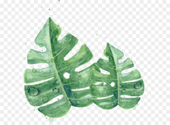 Leaf Watercolor painting Green Skin - Watercolor green leaves 