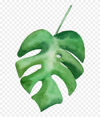 Leaf Watercolor Painting - Green Watercolor Leaf Png