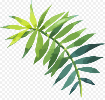 Leaf Watercolor painting - Hand painted watercolor green leaves 