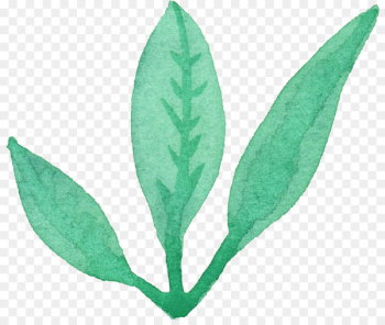 Leaf Watercolor painting - Leaf Leaf Watercolor painting - Leaf