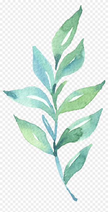 Leaf Watercolor Painting - Leaf Watercolor Painting