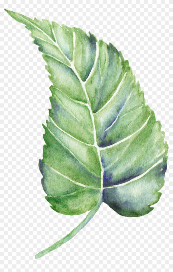 Leaf Watercolor Painting Shape - Leaf