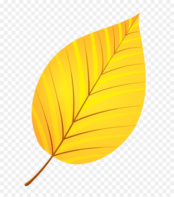 Leaf Yellow Autumn Leaves Petal - leaves 