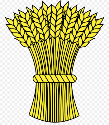 leaf yellow clip art plant plant stem leaf yellow clip art plant plant stem