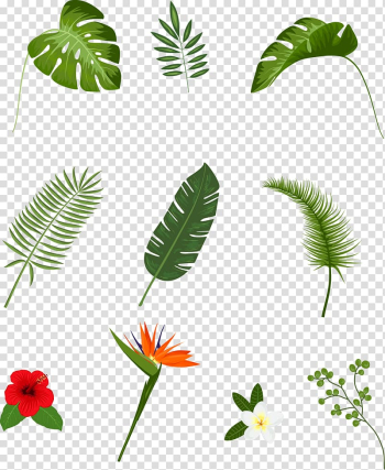 Leafed plant lot, Leaf Tropics Plant Euclidean , hand-painted leaves transparent background PNG clipart