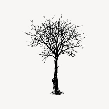 Leafless tree clipart, nature illustration | Free Vector Illustration - rawpixel Leafless tree clipart, nature illustration | Free Vector Illustration - rawpixel