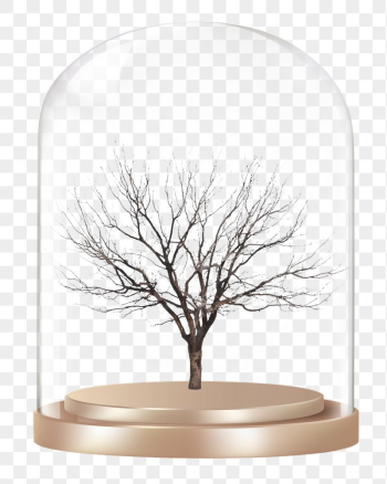 Leafless tree png glass dome | Free PNG - rawpixel