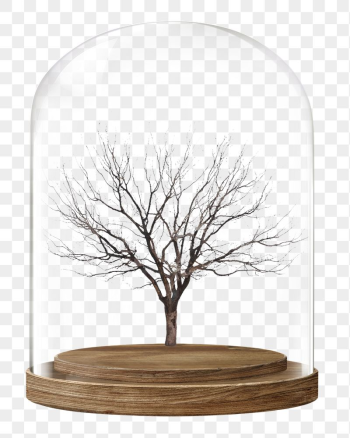 Leafless tree png glass dome | Free PNG - rawpixel