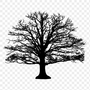 Leafless tree png sticker nature | Free PNG - rawpixel