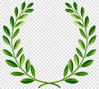 Leaves , Bay Laurel Laurel wreath , green transparent background PNG clipart Leaves , Bay Laurel Laurel wreath , green transparent background PNG clipart