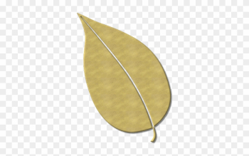 Leaves, Fall Foliage, Nature, Autumn - Autumn Leaves, Fall Foliage, Nature, Autumn - Autumn