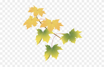Leaves Green - Maple Leaf