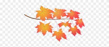 Leaves Red - Maple Leaf