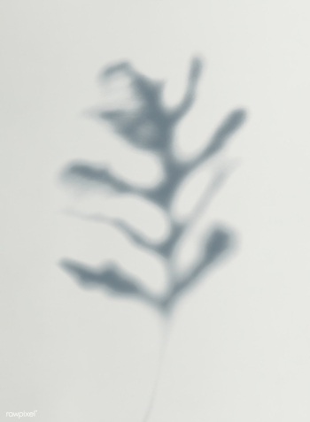 Leaves shadow on a wall | Free stock psd mockup - 555967 Leaves shadow on a wall | Free stock psd mockup - 555967