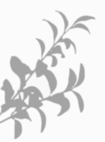 Leaves shadow on a white wall | Free stock vector - 555959 Leaves shadow on a white wall | Free stock vector - 555959