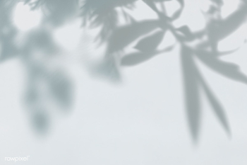 Leaves shadow on the wall | Free stock psd mockup - 556005 Leaves shadow on the wall | Free stock psd mockup - 556005