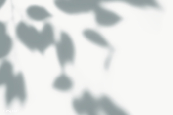 Leaves shadow on the wall | Free transparent png - 557616 Leaves shadow on the wall | Free transparent png - 557616