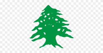 Lebanese Flag Cedar Tree