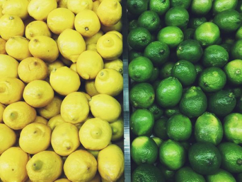 lemon and lime lot lemon and lime lot