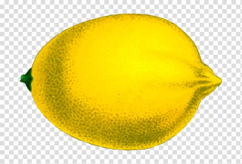 Lemon Fruit , lemon transparent background PNG clipart Lemon Fruit , lemon transparent background PNG clipart
