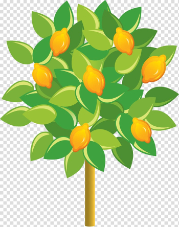 Lemon Fruit tree Euclidean , Cartoon lemon transparent background PNG clipart Lemon Fruit tree Euclidean , Cartoon lemon transparent background PNG clipart