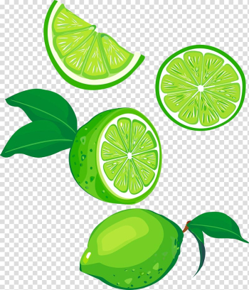 Lemon Lime Fruit Green, lemon transparent background PNG clipart Lemon Lime Fruit Green, lemon transparent background PNG clipart