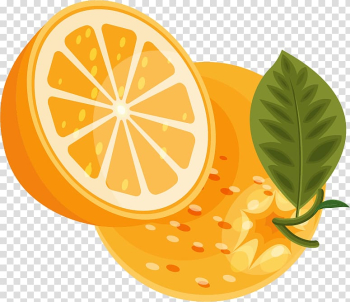 Lemon Orange, orange fruits material transparent background PNG clipart Lemon Orange, orange fruits material transparent background PNG clipart