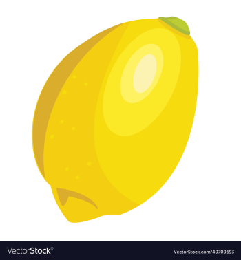 lemon single fruit lemon single fruit
